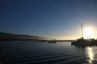 DSC_6557 (Large).JPG